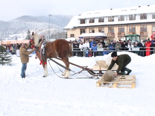 Preteky gazdovských koní-51