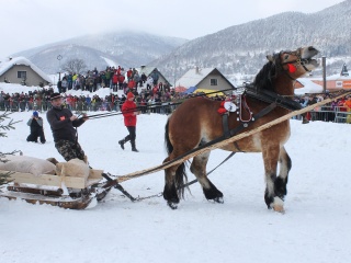 Preteky gazdovských koní-45