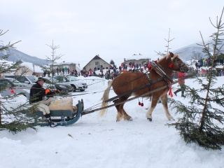 Preteky gazdovských koní-41