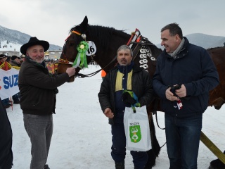 Preteky gazdovských koní 2013-28