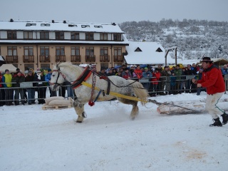 Preteky gazdovských koní 2013-37