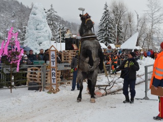 Preteky gazdovských koní 2013-35