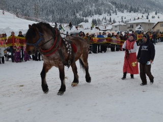 Preteky gazdovských koní 2013-34