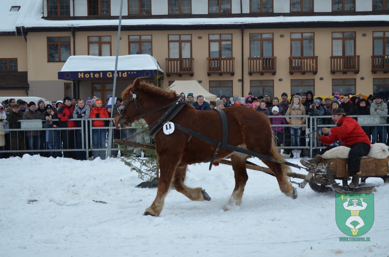 Preteky gazdovských koní 2013-12