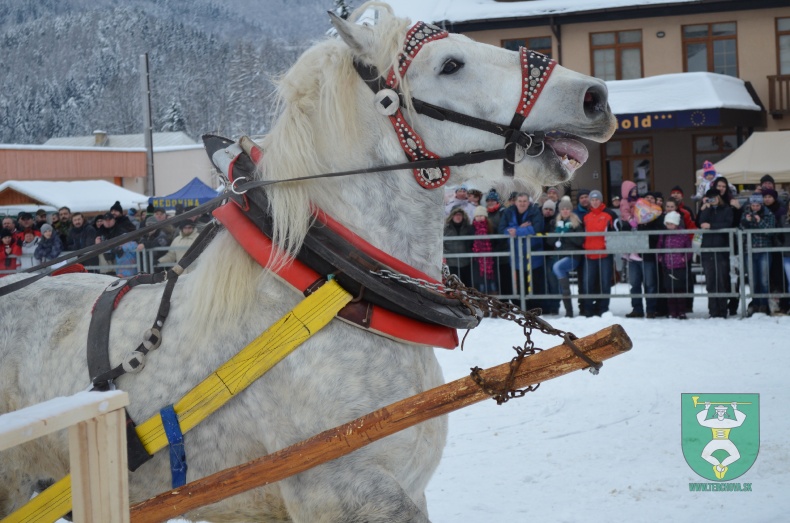 Preteky gazdovských koní 2013-13