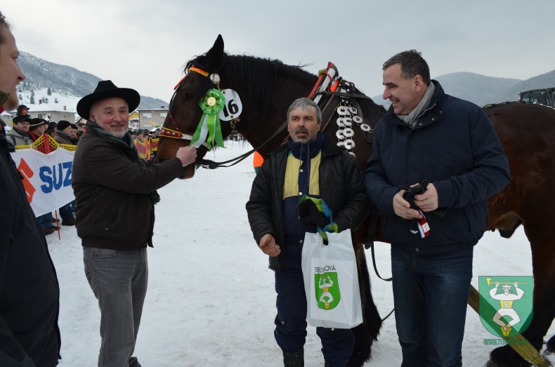 Preteky gazdovských koní 2013-28