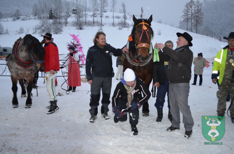 Preteky gazdovských koní 2013-43