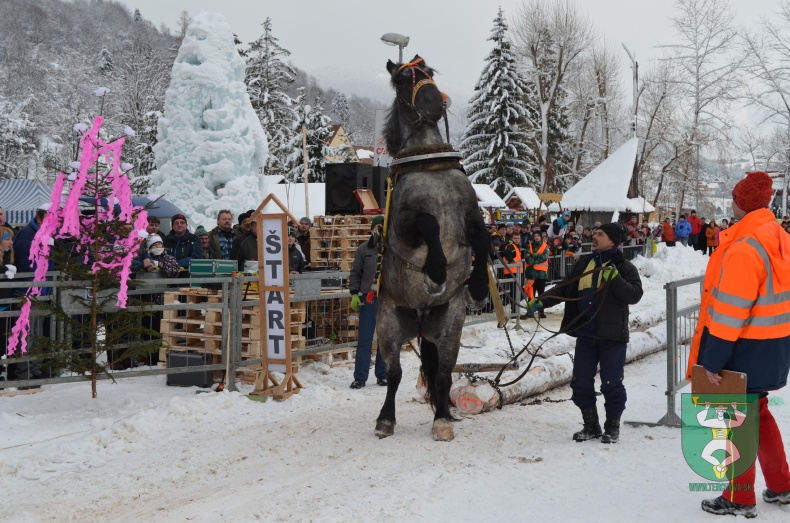 Preteky gazdovských koní 2013-35