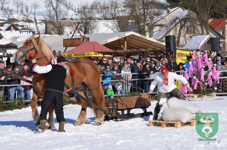 Preteky gazdovských koní 2015-77