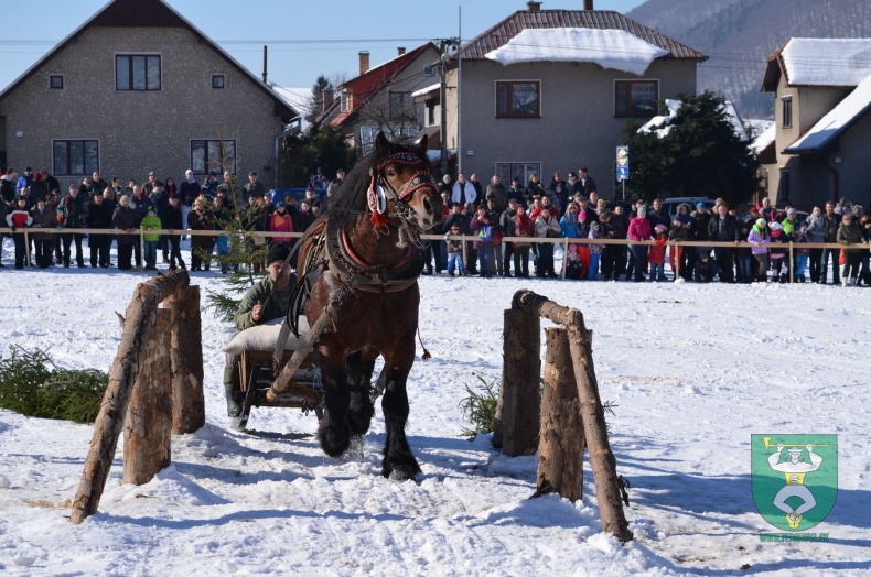 Preteky gazdovských koní 2015-73