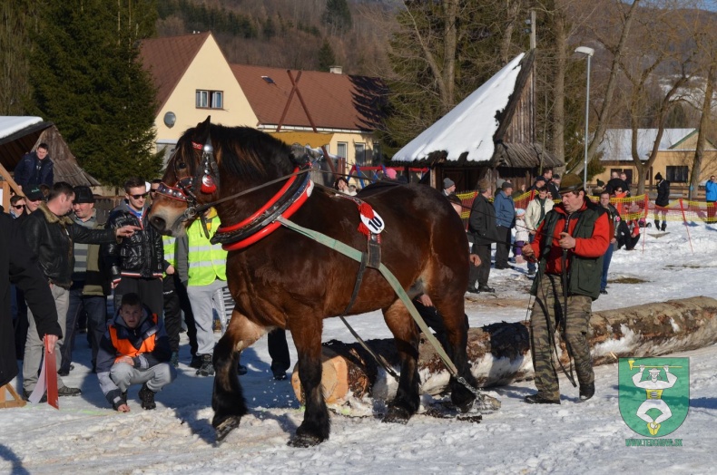 Preteky gazdovských koní 2015-133