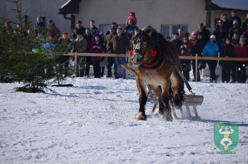 Preteky gazdovských koní 2015-35