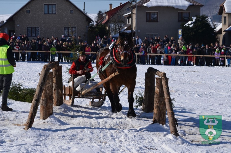 Preteky gazdovských koní 2015-71