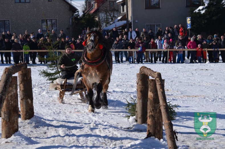 Preteky gazdovských koní 2015-75