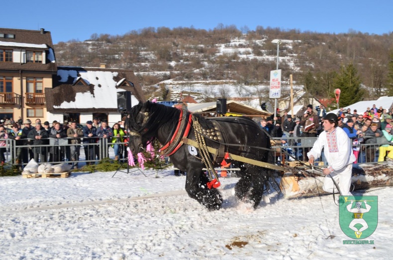 Preteky gazdovských koní 2015-9