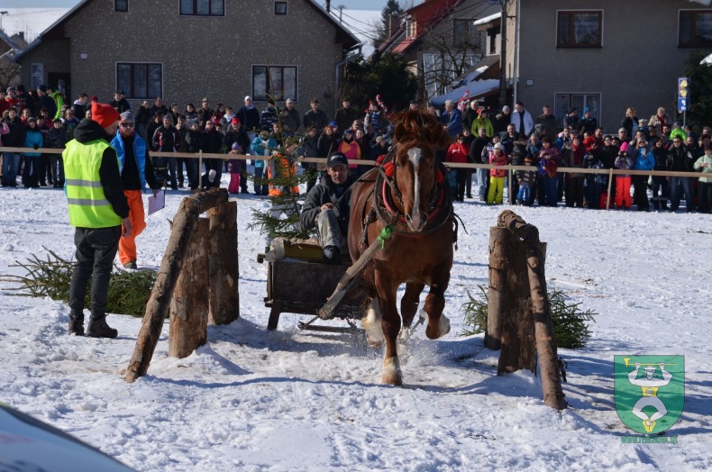 Preteky gazdovských koní 2015-56