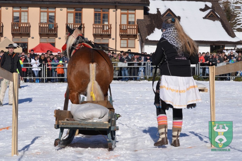 Preteky gazdovských koní 2015-61