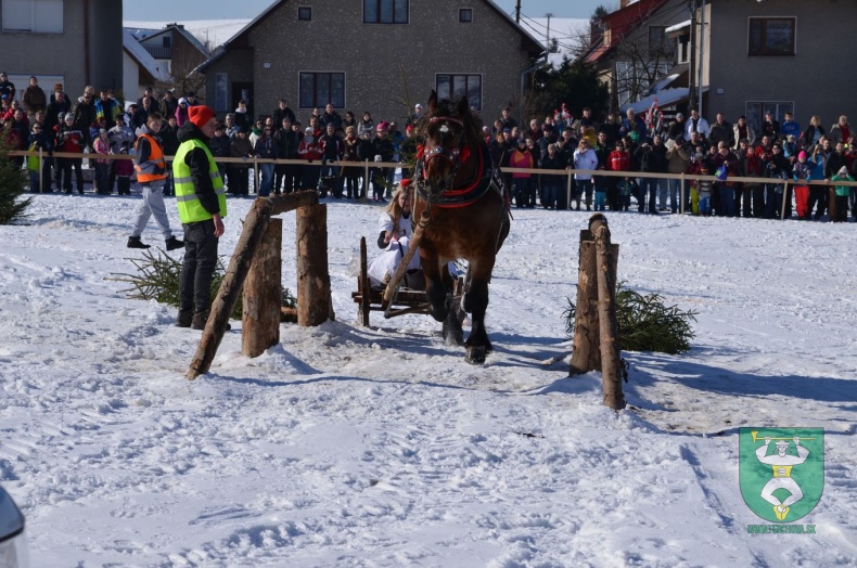 Preteky gazdovských koní 2015-50