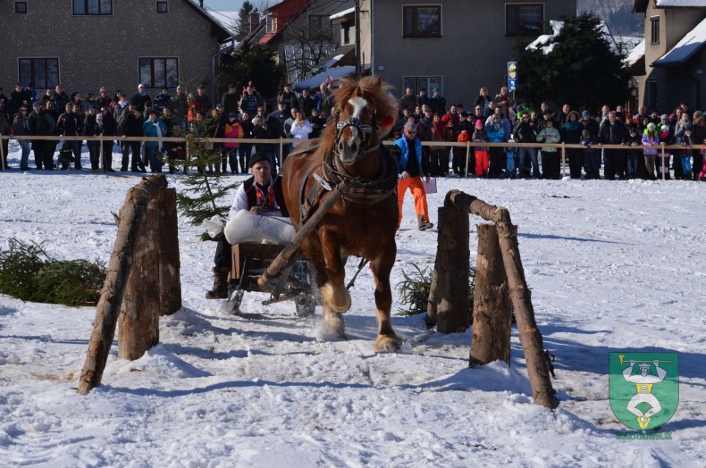 Preteky gazdovských koní 2015-58