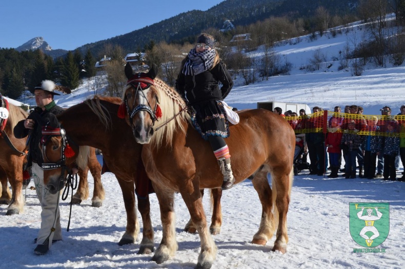 Preteky gazdovských koní 2015-110