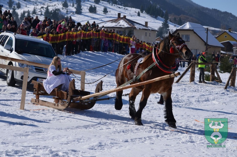 Preteky gazdovských koní 2015-51