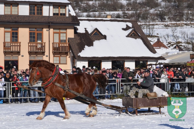 Preteky gazdovských koní 2015-55