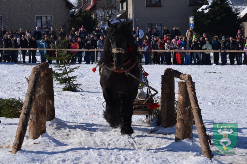 Preteky gazdovských koní 2015-63