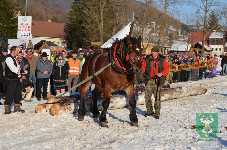 Preteky gazdovských koní 2015-23