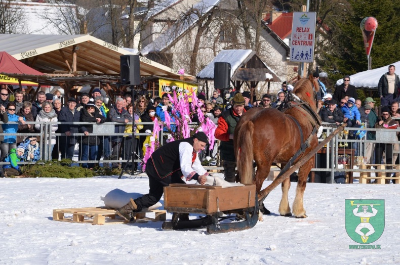 Preteky gazdovských koní 2015-59