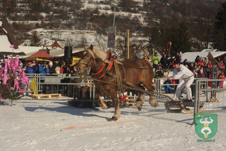 Preteky gazdovských koní 2015-30