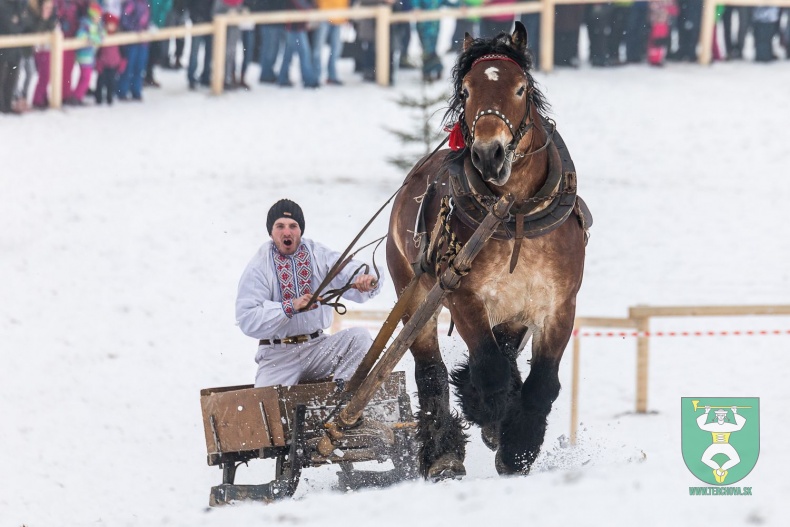 Preteky gazdovských koní 2018-12