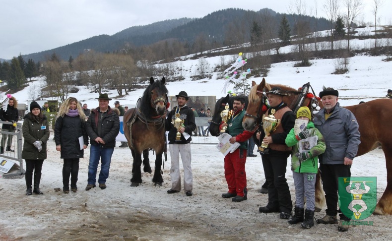 Preteky gazdovských koní 2019-317