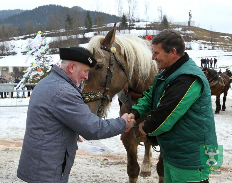 Preteky gazdovských koní 2019-281