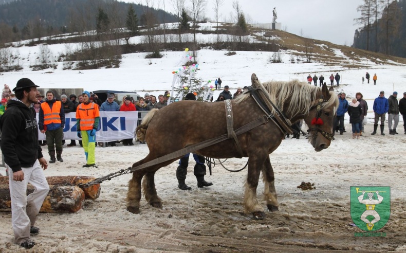 Preteky gazdovských koní 2019-337