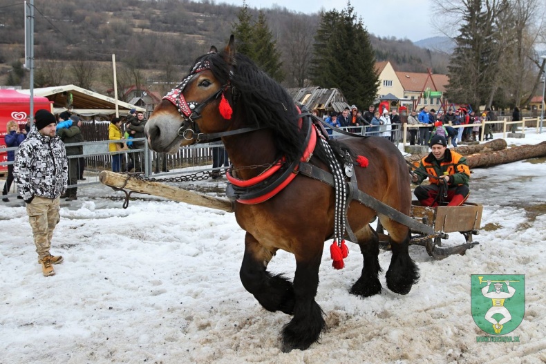 Preteky gazdovských koní 2019-174