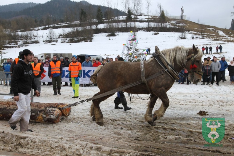 Preteky gazdovských koní 2019-336