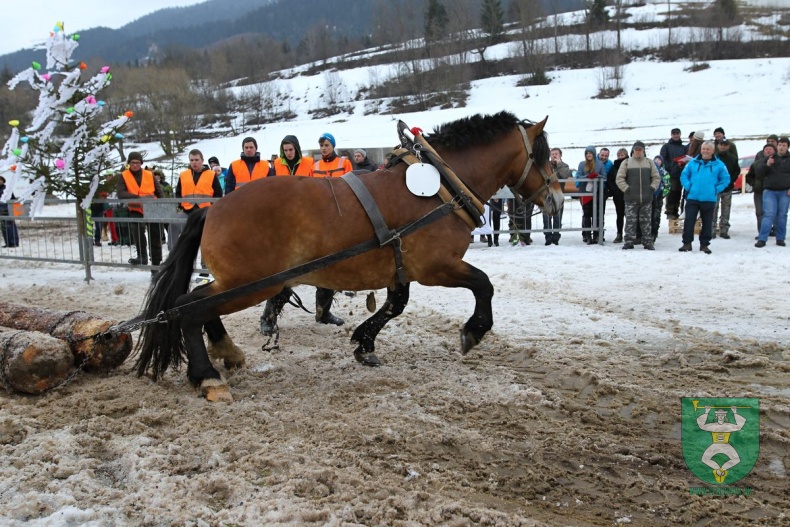 Preteky gazdovských koní 2019-359