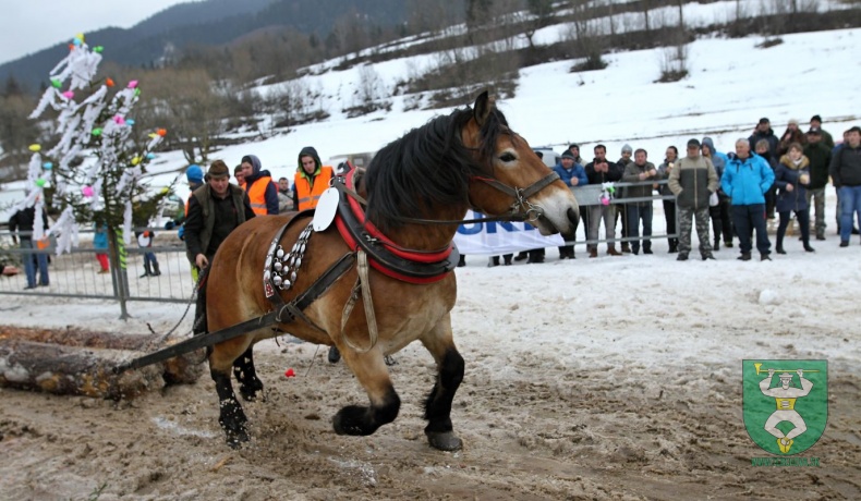 Preteky gazdovských koní 2019-365