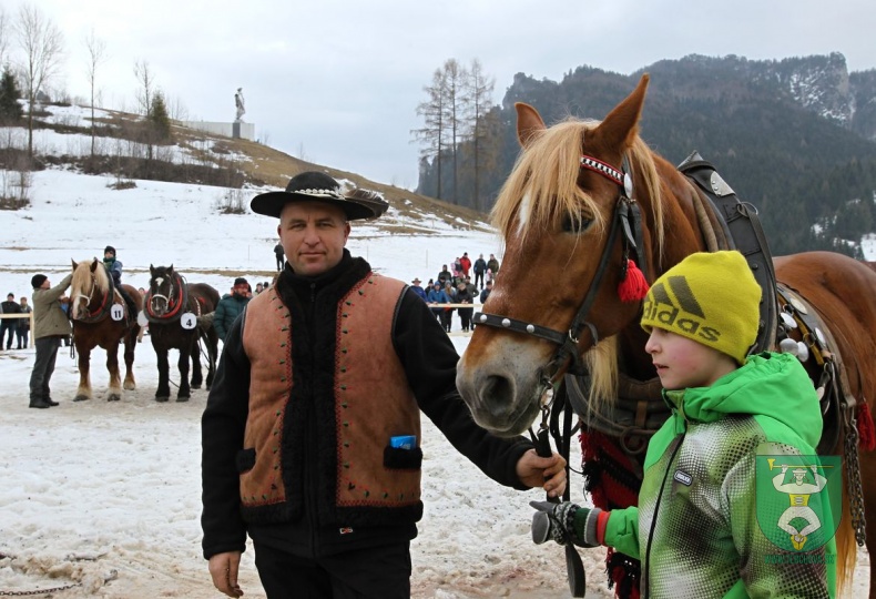 Preteky gazdovských koní 2019-308