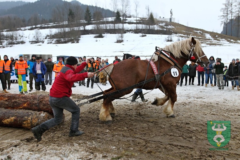 Preteky gazdovských koní 2019-396