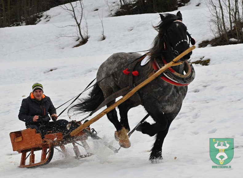 Preteky gazdovských koní 2019-455