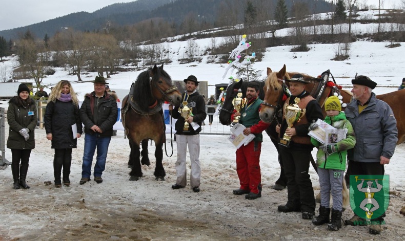 Preteky gazdovských koní 2019-316